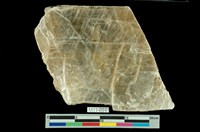 藏品(石膏)的圖片